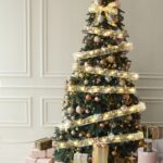 12094654431cab657623d2875682