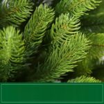 19276a4a4032a4a9187dfa359714-1