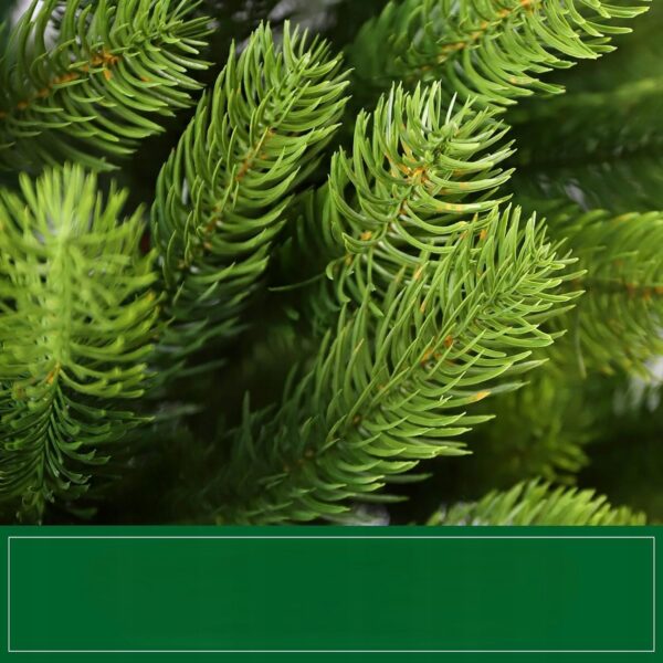 19276a4a4032a4a9187dfa359714-3