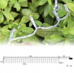 1c5e5dda4bcbbcd2bed1da03245b-1