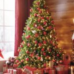 302609ee49a58f4fcd549bfddfe8-2