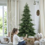 3e0f1b81416da7ea8c0e723c9dee