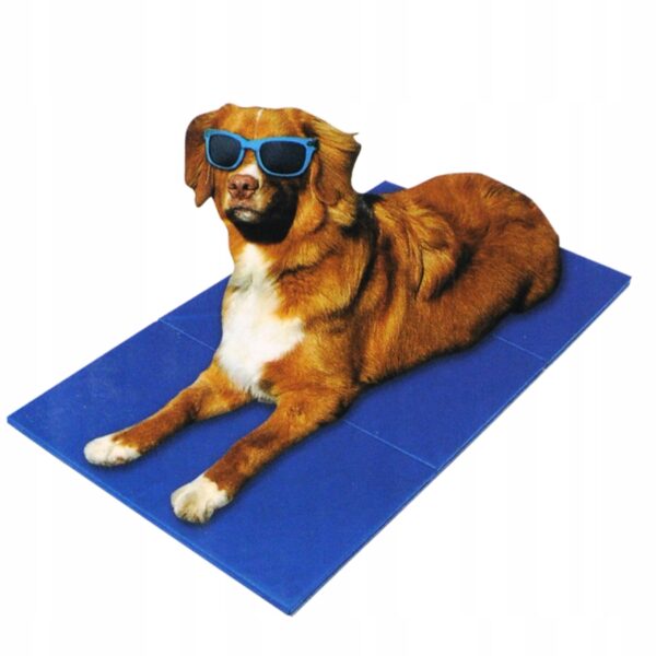 40ee5d0f4ccbb3c392c5a9594606