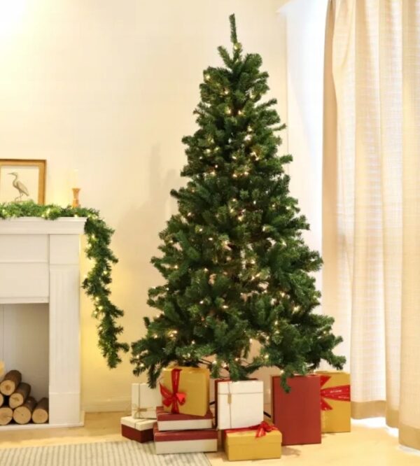 4443024a4c24b84f7f8c60703eb2-1