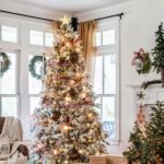 56c3127942aa8523cc8058d31baa