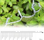 6a3eeb6d430ab357b24de87b9e99-4