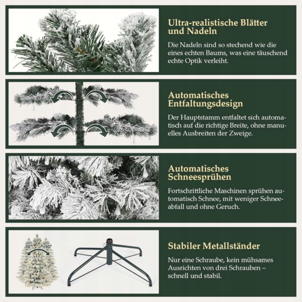 85e60aab4cd797b8e58a6fa156aa-2