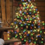 b277731f40a9a13a46eef112bbd3