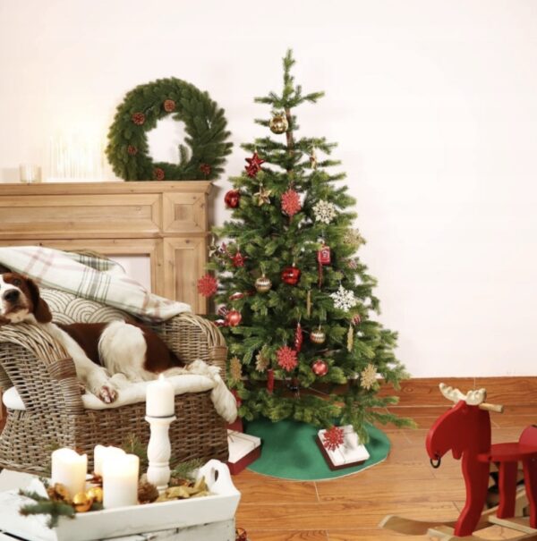 ccf62d4b4377992d9c7c836af7a4-1