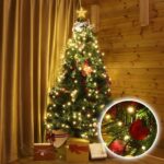 d20177ec4a1dbb547b01cf8c2a90