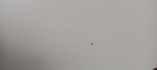 e4f92a2049fbb02af22bf6c8cc21