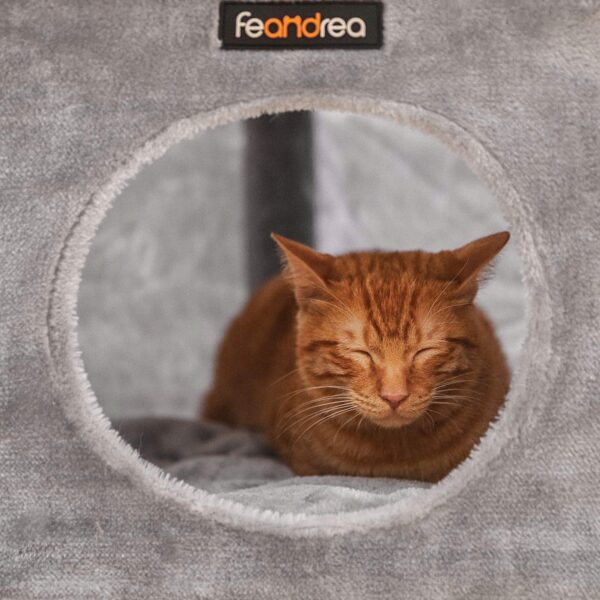 d9d560594cb8bd529d23fb9f7442